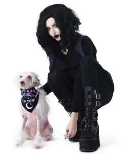 I Pawed A Spell On You Pet Bandana - Dog Or Cat -Rogue & Wolf Shop TLI 5124a