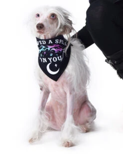 I Pawed A Spell On You Pet Bandana - Dog Or Cat -Rogue & Wolf Shop TLI 5124a2