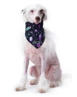 I Pawed A Spell On You Pet Bandana - Dog Or Cat -Rogue & Wolf Shop TLI 5128b