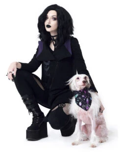 I Pawed A Spell On You Pet Bandana - Dog Or Cat -Rogue & Wolf Shop TLI 5130a