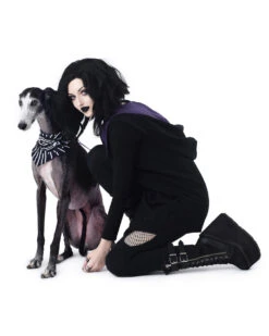 Give Me Treatos Ouija Pet Bandana - Dog Or Cat -Rogue & Wolf Shop TLI 5170a