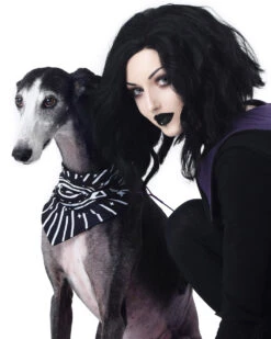 Give Me Treatos Ouija Pet Bandana - Dog Or Cat -Rogue & Wolf Shop TLI 5171a