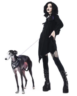 Give Me Treatos Ouija Pet Bandana - Dog Or Cat -Rogue & Wolf Shop TLI 5181c