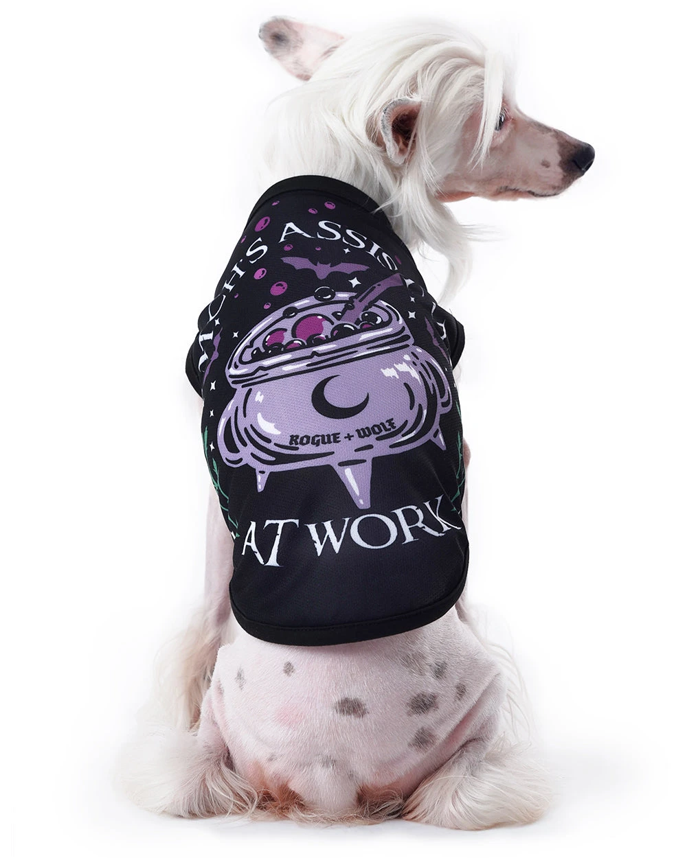 Witch's Assistant At Work Pet Vest - Dog Or Cat 3 Witch's Assistant At Work Pet Vest - Dog Or Cat