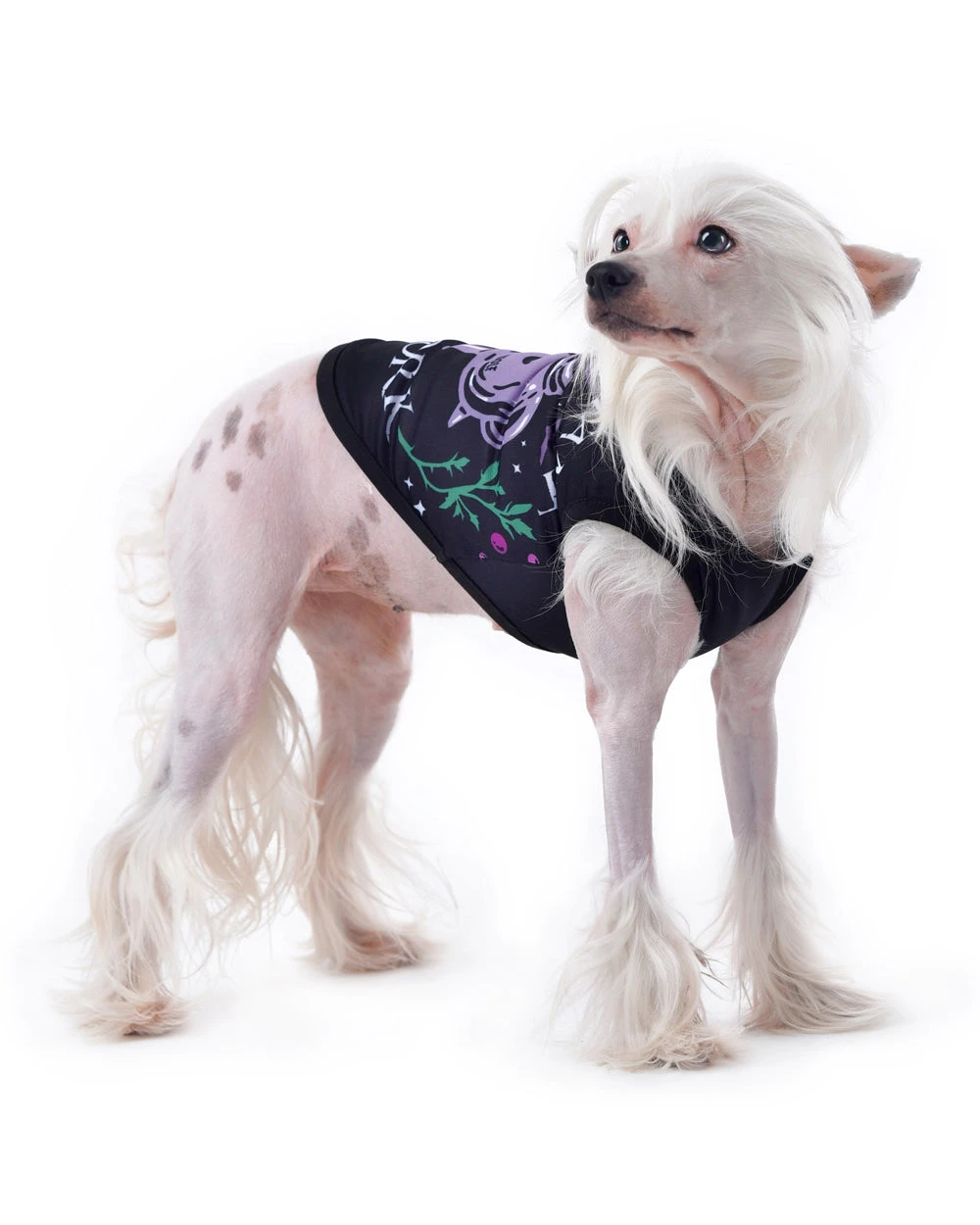 Witch's Assistant At Work Pet Vest - Dog Or Cat 4 Witch's Assistant At Work Pet Vest - Dog Or Cat - Image 2