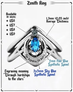 Zenith Ring In Mirror Steel 20 Zenith Ring In Mirror Steel -Rogue & Wolf Shop Zenithring Inforgraphic 4x5 06b